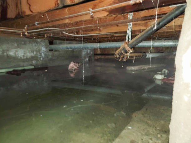 24/7 water damage repair in NC