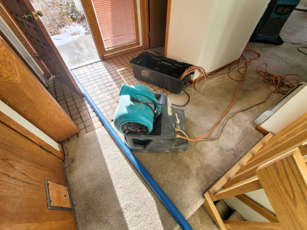 Best Local water damage restoration  in Carolina Shores, NC
