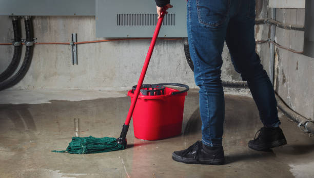 Best Water damage cleanup near me  in Carolina Shores, NC