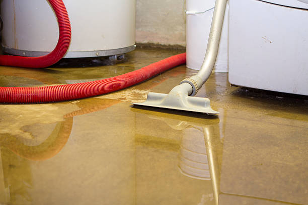 Best Professional water damage repair  in Carolina Shores, NC