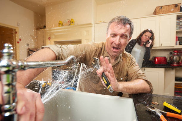 Best Basement water damage restoration  in Carolina Shores, NC